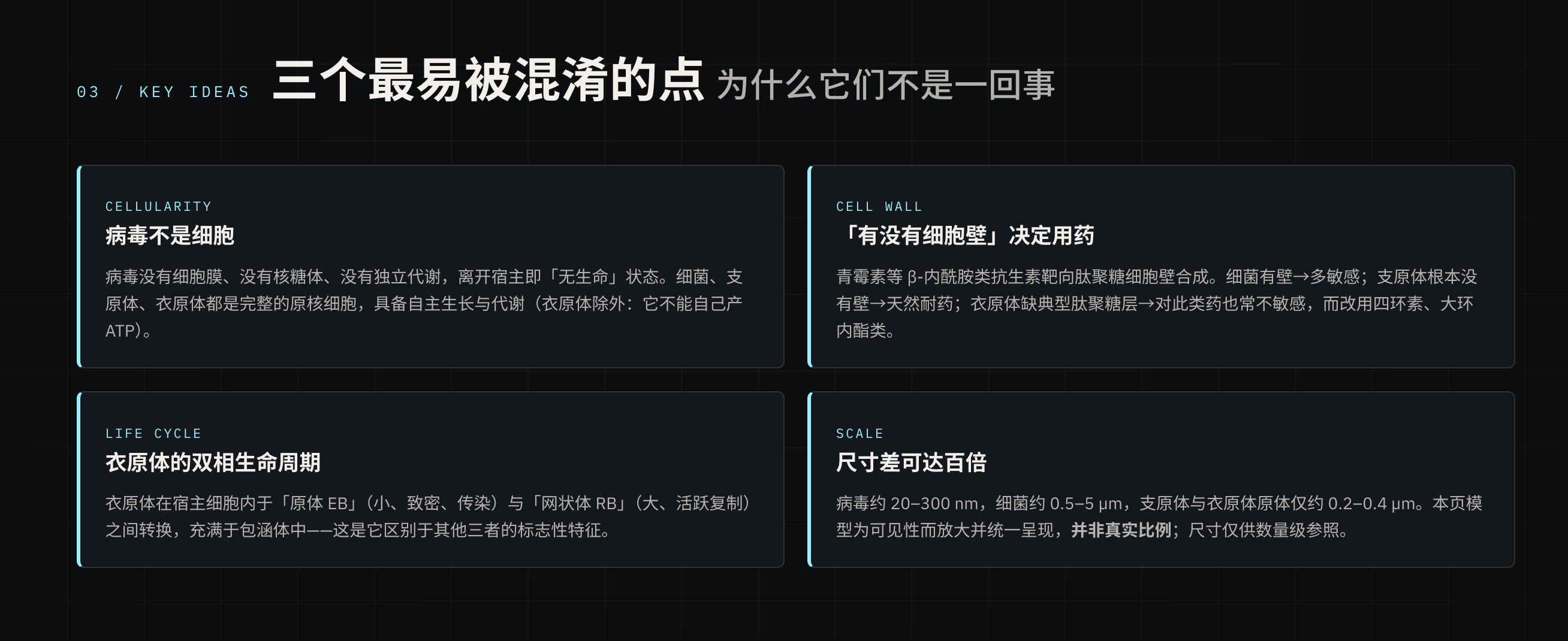 Hy3 生成的最终页截图
